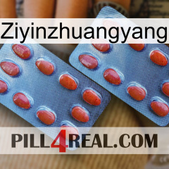 Ziyinzhuangyang 05